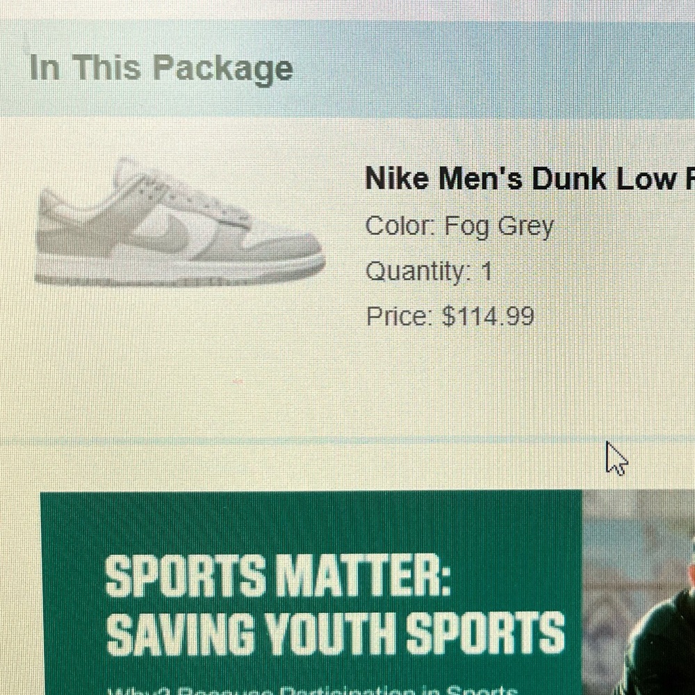 Nike Men’s dunk low retro shoes fog grey